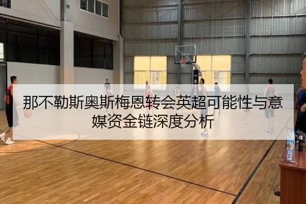 那不勒斯奥斯梅恩转会英超可能性与意媒资金链深度分析